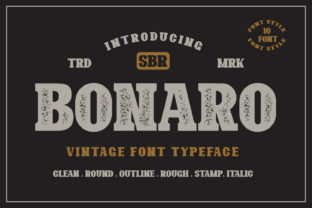 Bonaro Family: A Vintage-Themed Font for Creative Branding