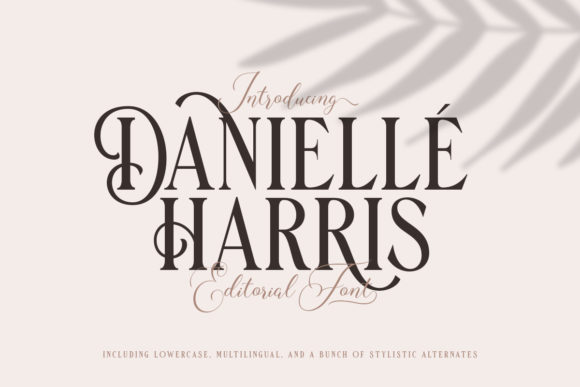 Danielle Harris Font Review for Makers and Designers