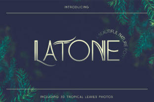 Latone Font: A Display Typeface That Elevates Your Campaign