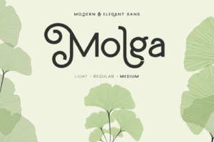 Molga Font Review and Free Download