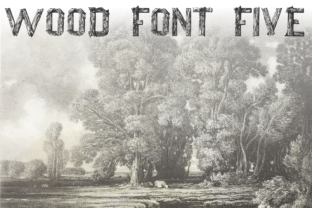 Wood Font Five: A Premium Display Typeface for Nature-Inspired Editorial Design