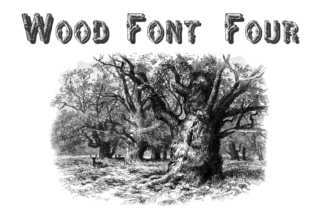 Wood Font Four — A Beautiful Display Typeface for Nature-Inspired Projects